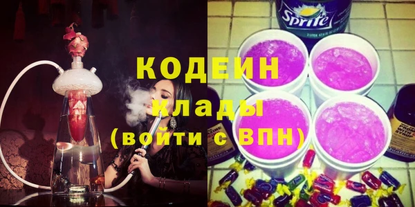 хмурый Новозыбков
