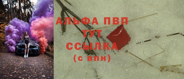 хмурый Новозыбков