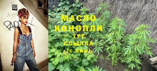 соль ск Няндома