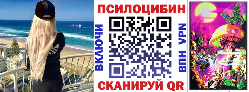 купить наркоту  ссылка на мегу как войти  Псилоцибиновые грибы Magic Shrooms  Пудож 